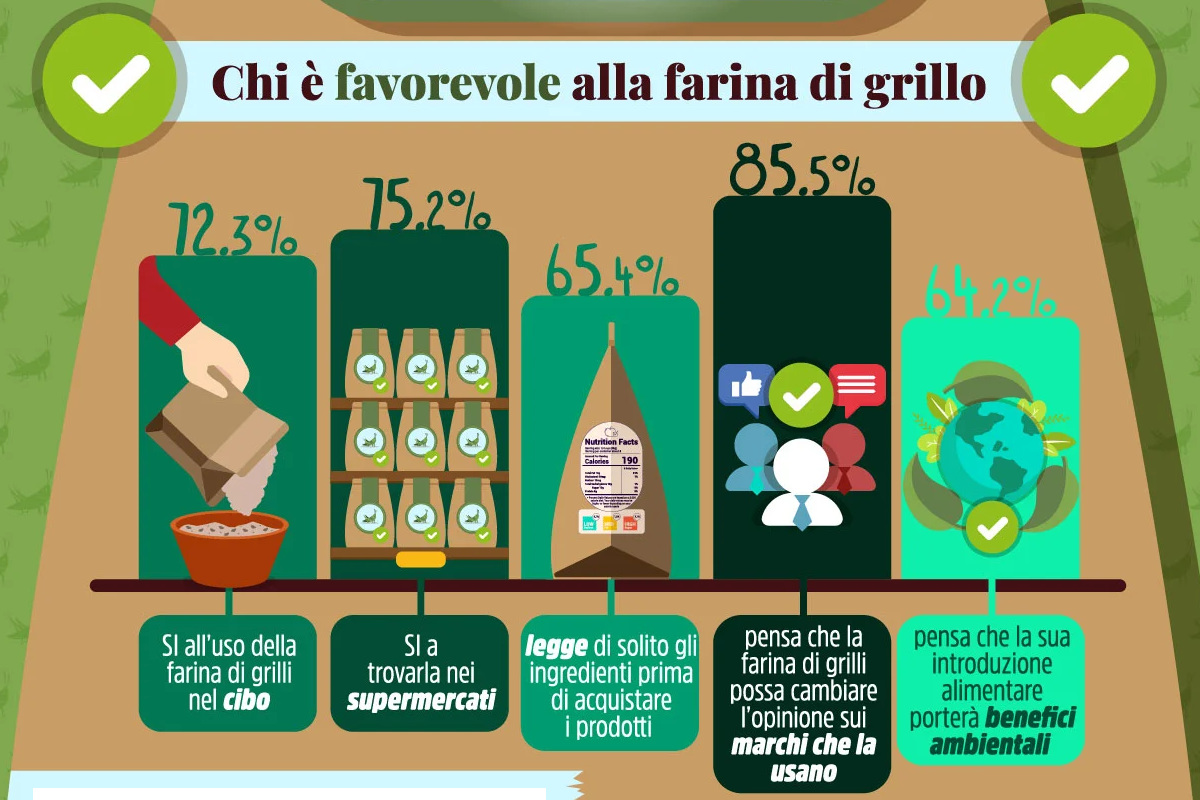 Il 72% degli italiani dice sì alla farina di grilli mille intervistati valgono un Paese?